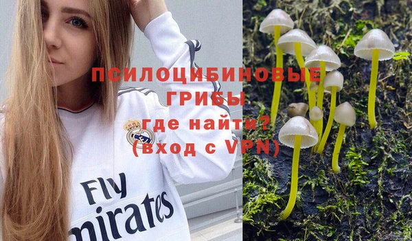 дмт Гусиноозёрск